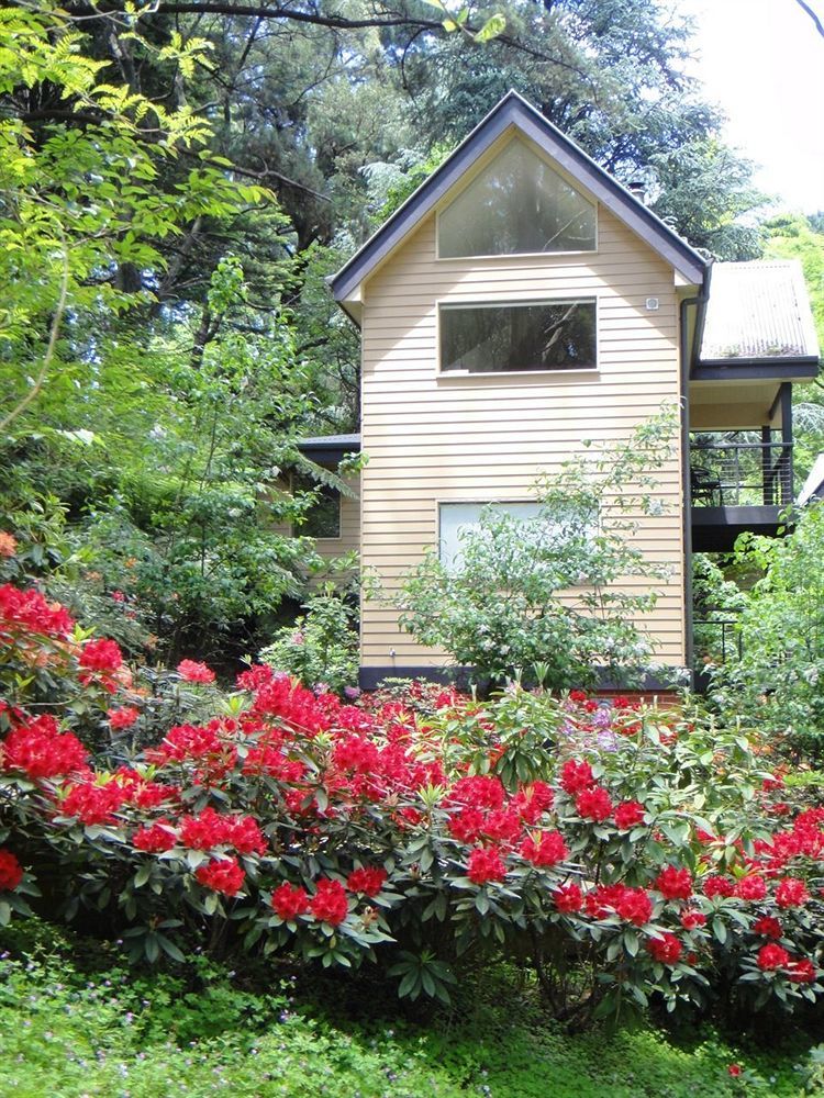 Lochiel Luxury Accommodation Olinda Zewnętrze zdjęcie
